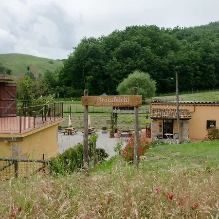 Farm stay Brotafalchi Agriturismo Castelfiorentino